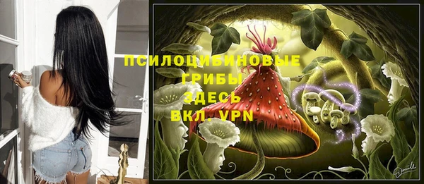 MDMA Верхний Тагил