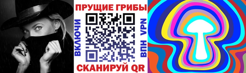 Псилоцибиновые грибы Psilocybe  Липки 